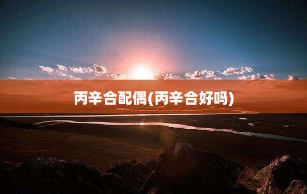 丙辛合配偶(丙辛合好吗)