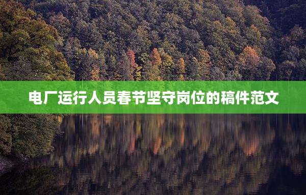 电厂运行人员春节坚守岗位的稿件范文