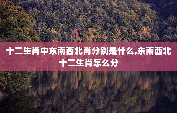 十二生肖中东南西北肖分别是什么,东南西北十二生肖怎么分