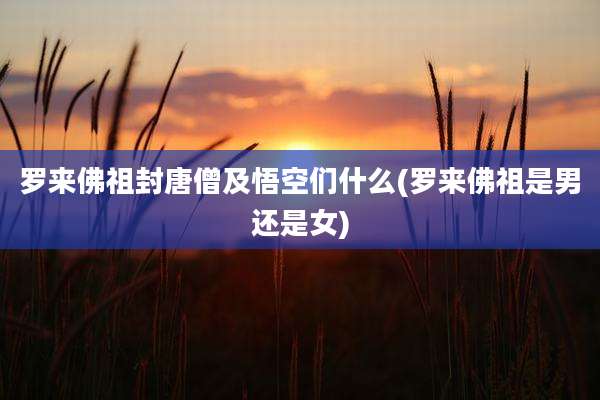 罗来佛祖封唐僧及悟空们什么(罗来佛祖是男还是女)