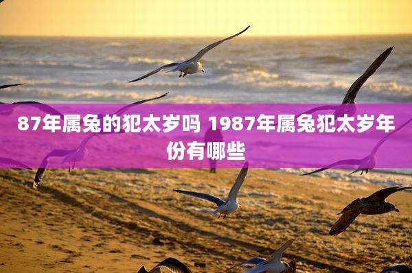 87年属兔的犯太岁吗 1987年属兔犯太岁年份有哪些