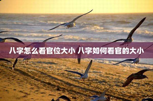 八字怎么看官位大小 八字如何看官的大小