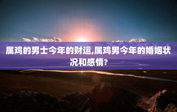属鸡的男士今年的财运,属鸡男今年的婚姻状况和感情?