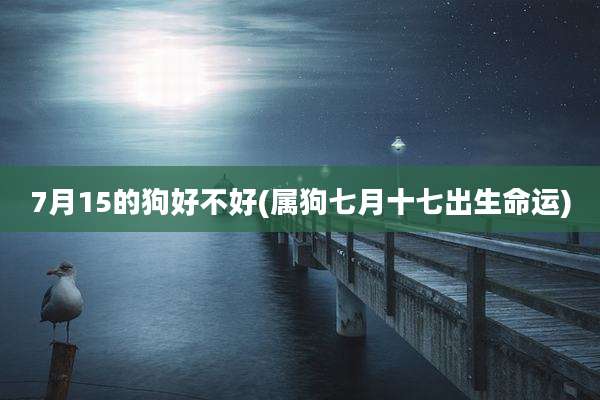 7月15的狗好不好(属狗七月十七出生命运)