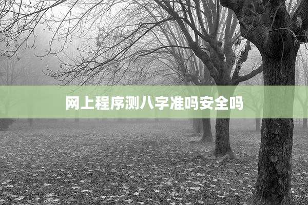 网上程序测八字准吗安全吗