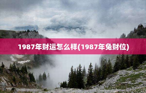 1987年财运怎么样(1987年兔财位)