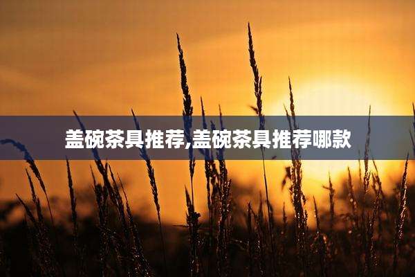 盖碗茶具推荐,盖碗茶具推荐哪款