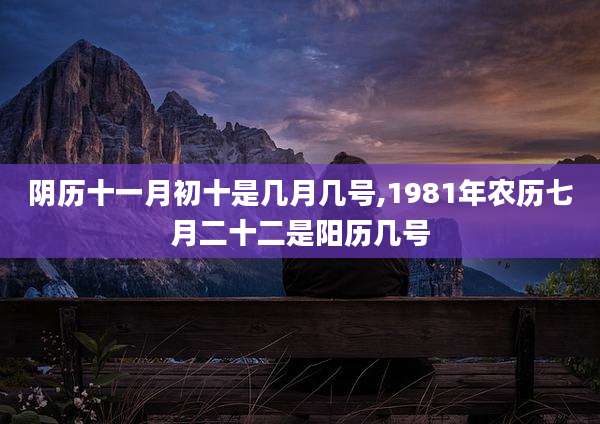阴历十一月初十是几月几号,1981年农历七月二十二是阳历几号