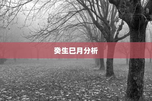 癸生巳月分析