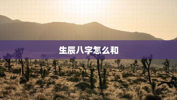 生辰八字怎么和
