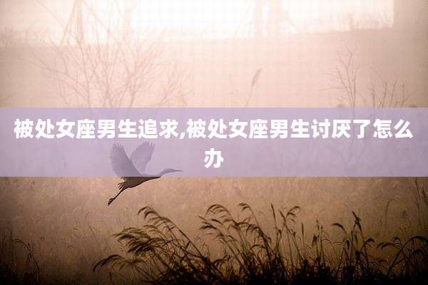 被处女座男生追求,被处女座男生讨厌了怎么办
