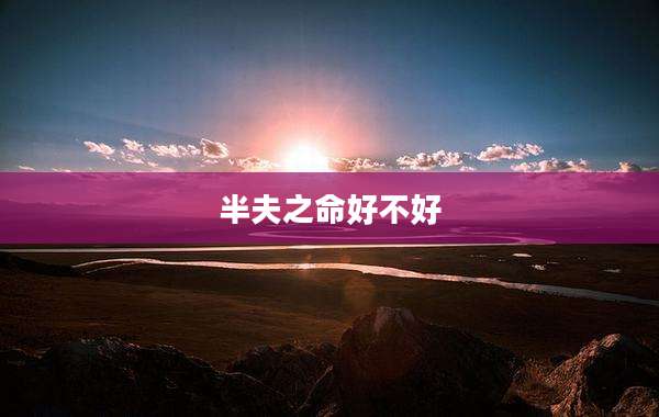 半夫之命好不好