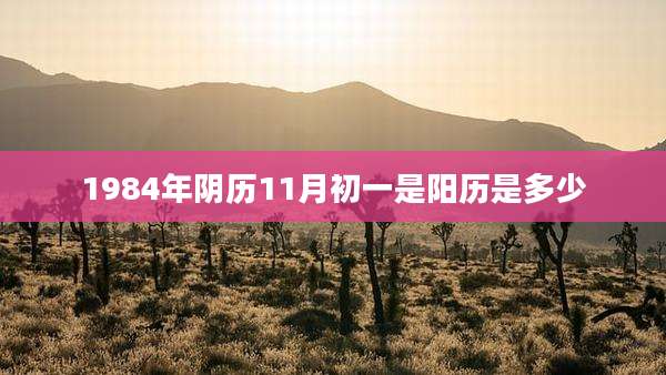 1984年阴历11月初一是阳历是多少