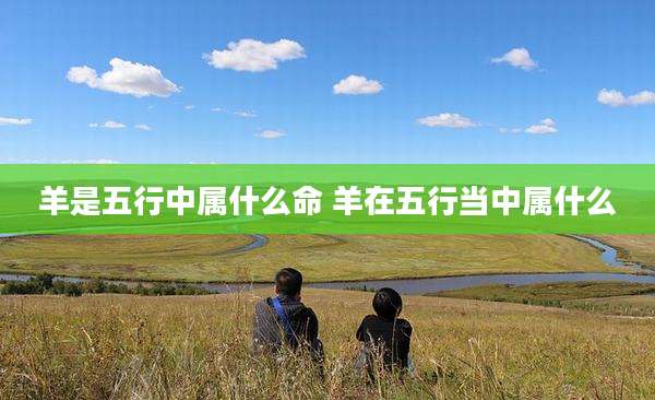 羊是五行中属什么命 羊在五行当中属什么
