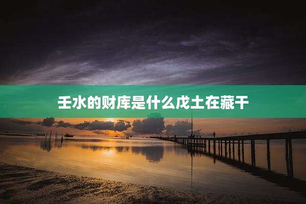 壬水的财库是什么戊土在藏干