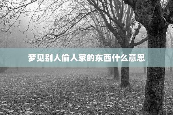 梦见别人偷人家的东西什么意思