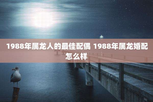 1988年属龙人的最佳配偶 1988年属龙婚配怎么样