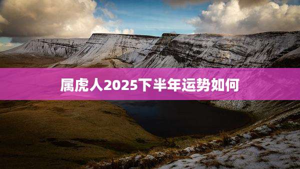 属虎人2025下半年运势如何