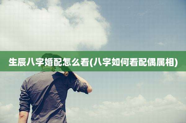 生辰八字婚配怎么看(八字如何看配偶属相)