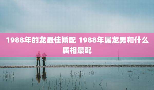 1988年的龙最佳婚配 1988年属龙男和什么属相最配