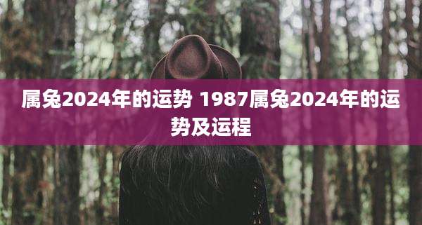 属兔2024年的运势 1987属兔2024年的运势及运程