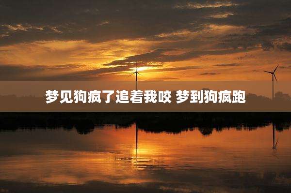 梦见狗疯了追着我咬 梦到狗疯跑