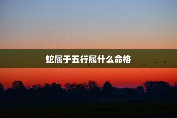 蛇属于五行属什么命格