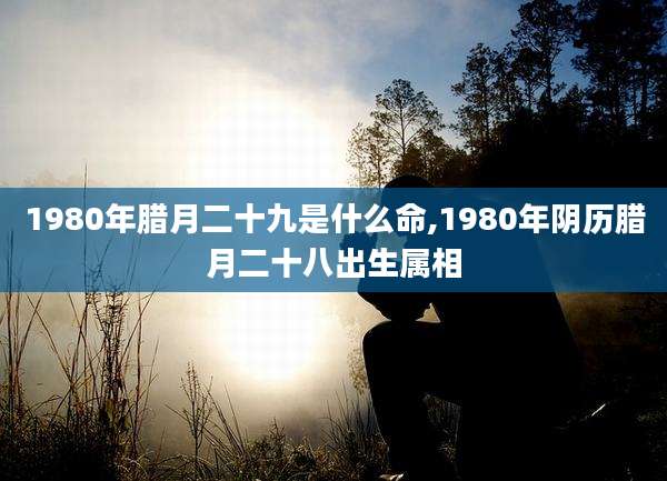 1980年腊月二十九是什么命,1980年阴历腊月二十八出生属相