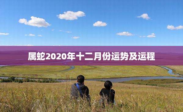 属蛇2020年十二月份运势及运程