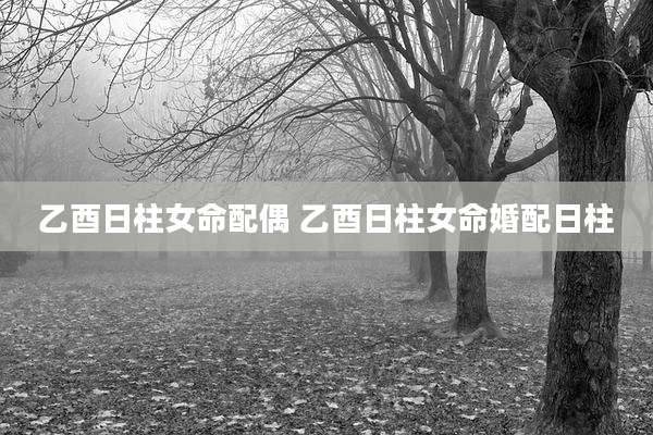 乙酉日柱女命配偶 乙酉日柱女命婚配日柱