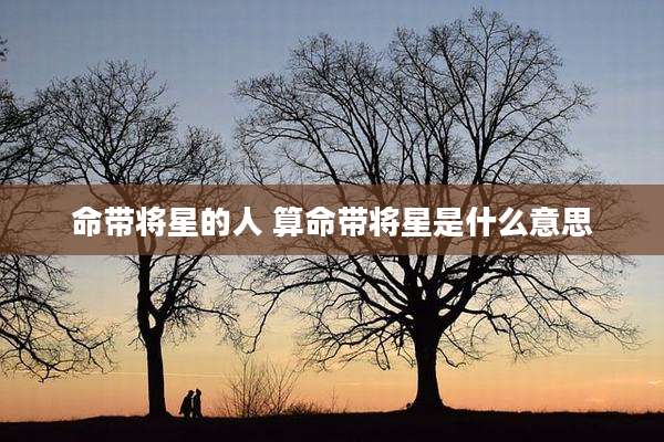 命带将星的人 算命带将星是什么意思