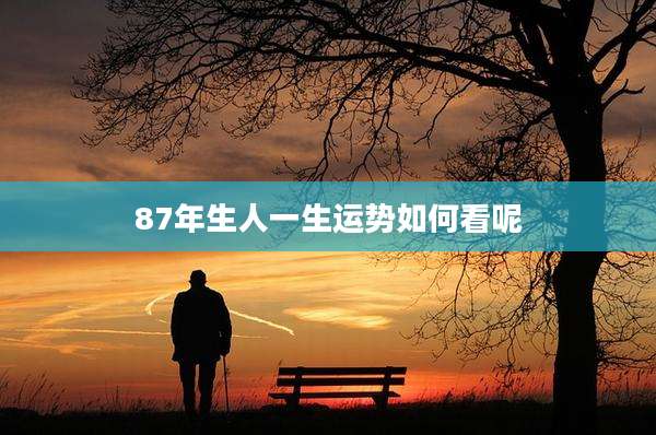 87年生人一生运势如何看呢