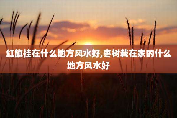 红旗挂在什么地方风水好,枣树栽在家的什么地方风水好