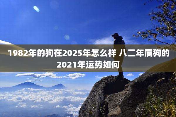 1982年的狗在2025年怎么样 八二年属狗的2021年运势如何