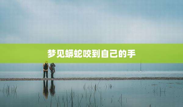 梦见蟒蛇咬到自己的手