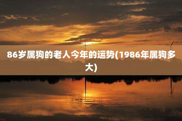 86岁属狗的老人今年的运势(1986年属狗多大)