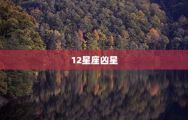 12星座凶星