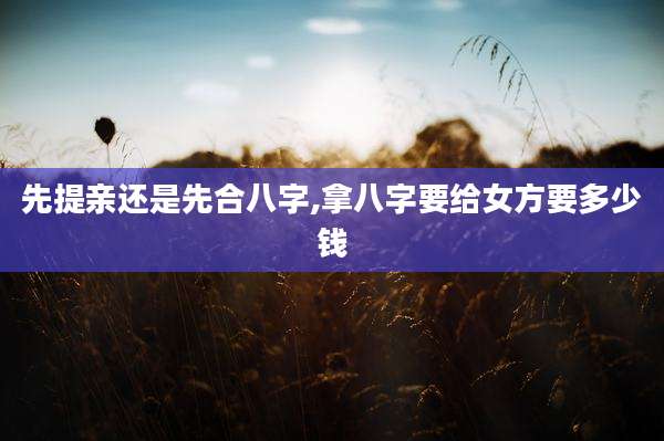 先提亲还是先合八字,拿八字要给女方要多少钱