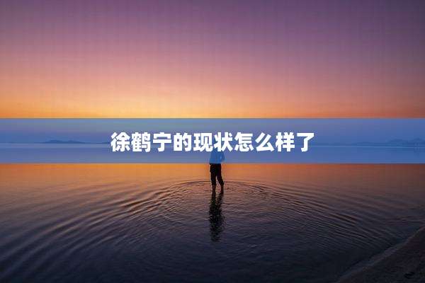徐鹤宁的现状怎么样了