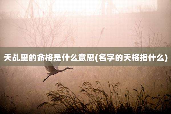 天乩里的命格是什么意思(名字的天格指什么)