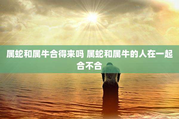 属蛇和属牛合得来吗 属蛇和属牛的人在一起合不合