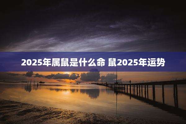 2025年属鼠是什么命 鼠2025年运势