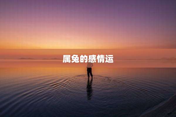 属兔的感情运