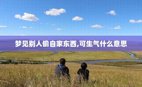 梦见别人偷自家东西,可生气什么意思
