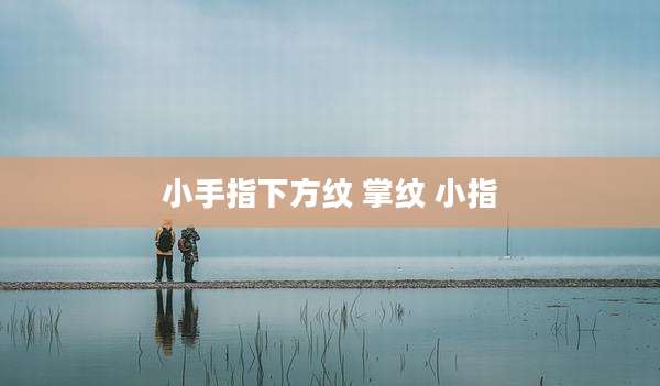 小手指下方纹 掌纹 小指