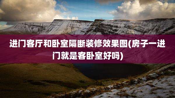 进门客厅和卧室隔断装修效果图(房子一进门就是客卧室好吗)