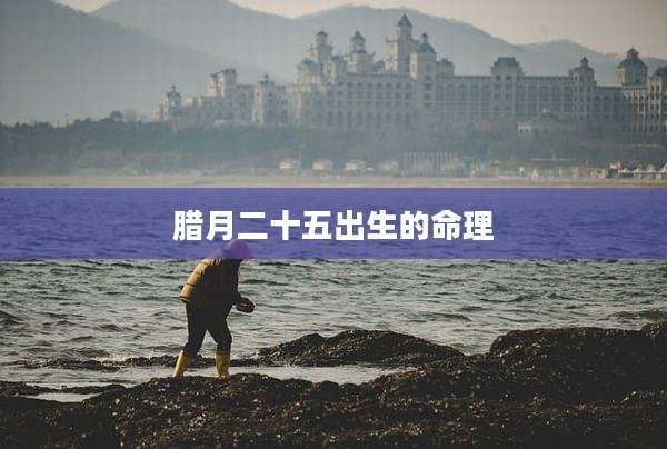 腊月二十五出生的命理