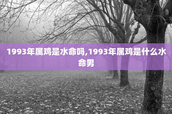 1993年属鸡是水命吗,1993年属鸡是什么水命男