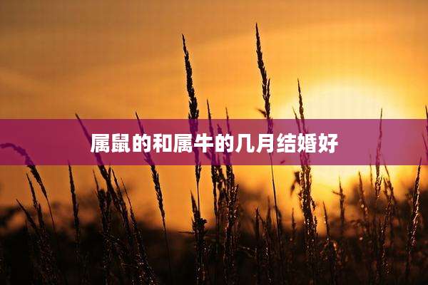 属鼠的和属牛的几月结婚好