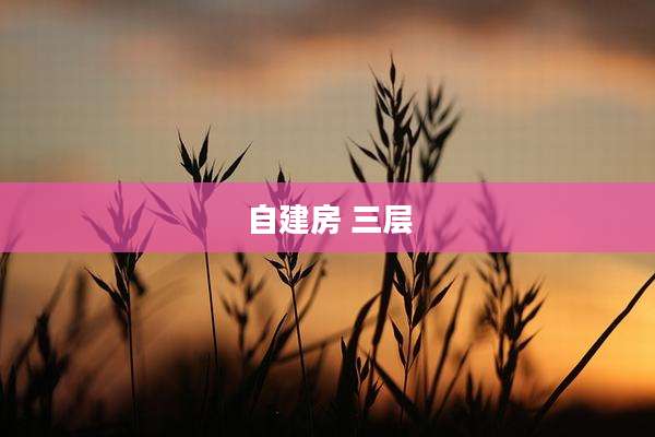 自建房 三层